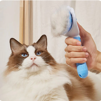 Grooming & Hygiene