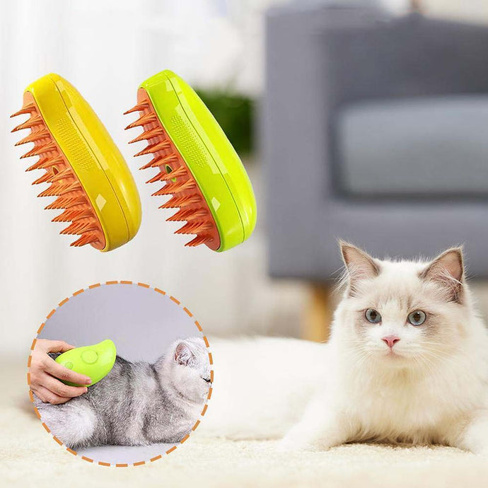 Massage and steam brush